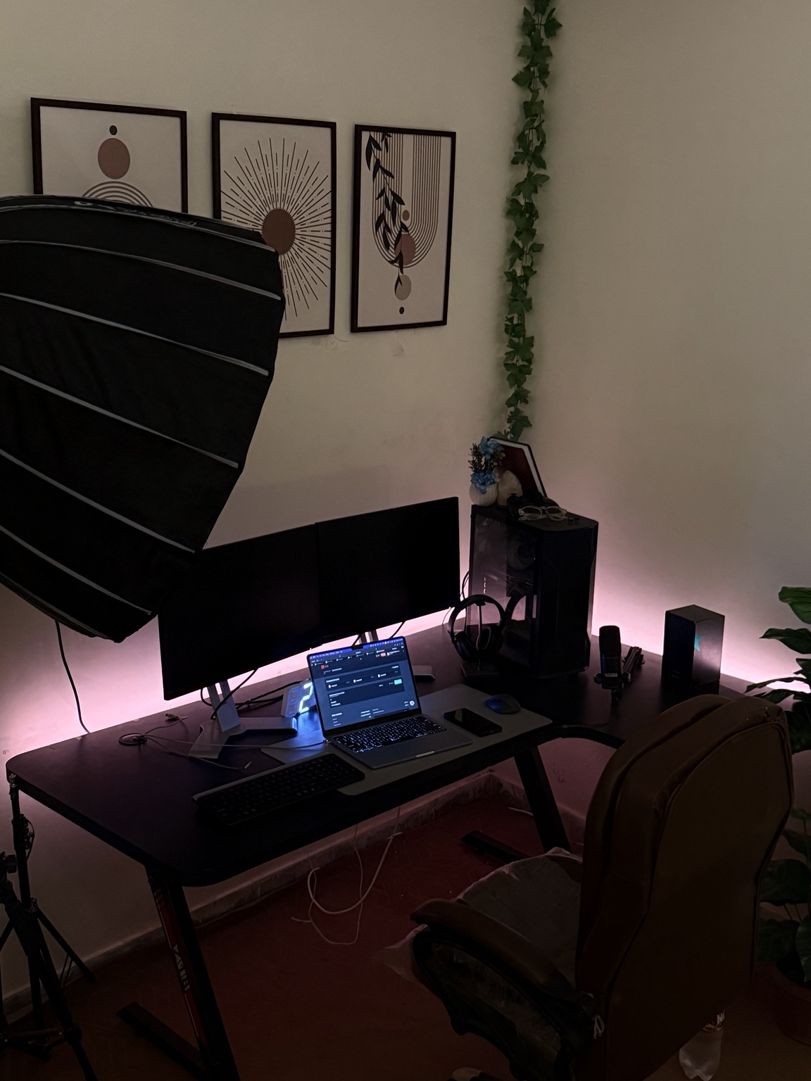 The studio built through freelancing and agency work